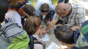 WEB_NAT_ANIM_ORIENTATION_1