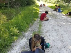 SEMINAIRE avec la LPO ILE DE FRANCE