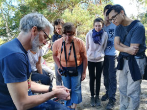 FRANCOIS LASSERRE - OBSERVATION ENTOMO