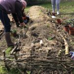 initiation permaculture...