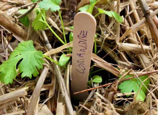 AMBIANCE PERMACULTURE 01