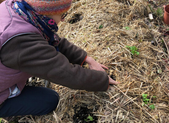 AMBIANCE PERMACULTURE 03